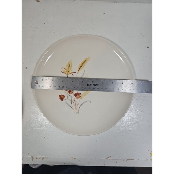 Taylor Smith Taylor Ever Yours Autumn Harvest Dinner Plate Diameter 10 inches - Picture 3 of 3